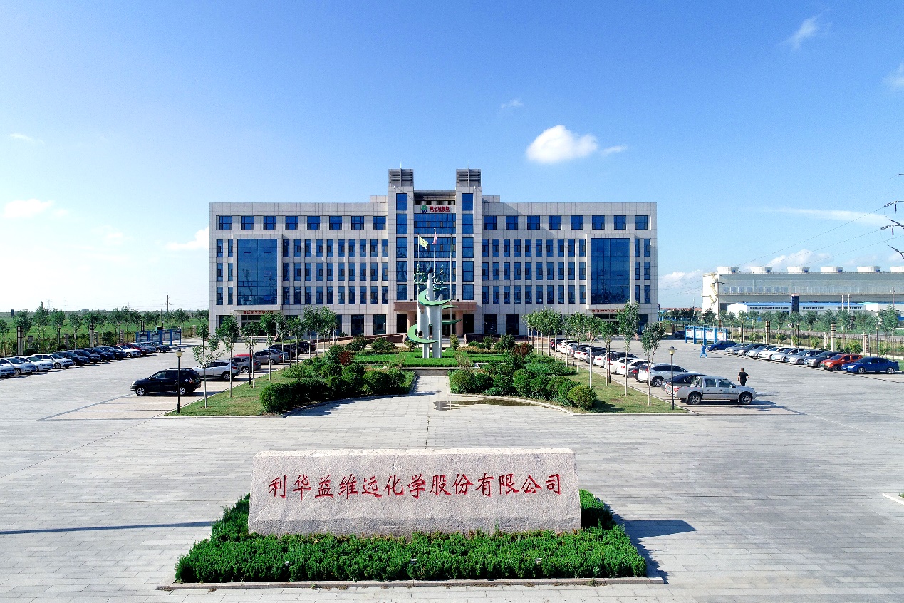 利华益维远