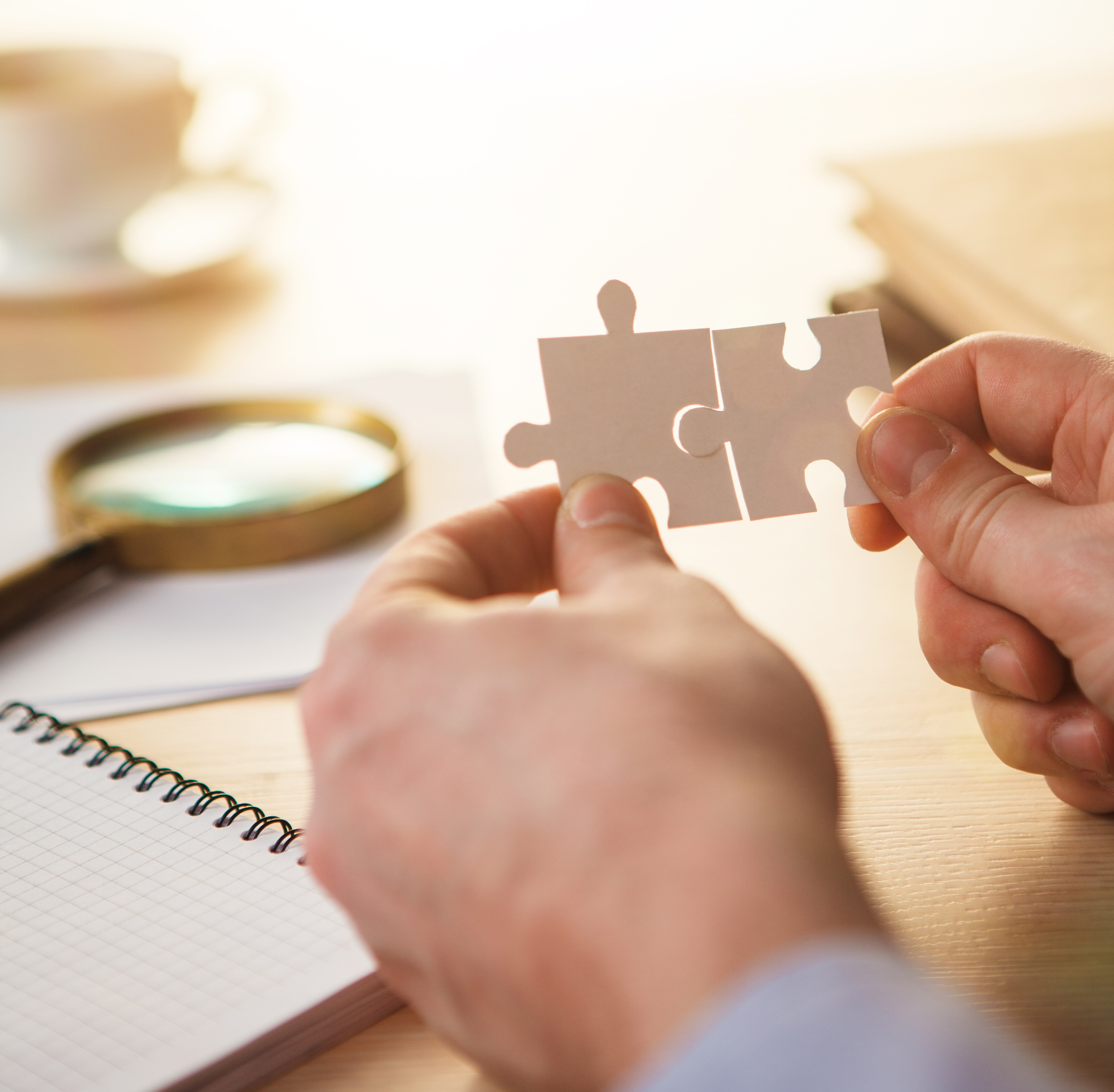 平台开放性与集成定制能力示意图